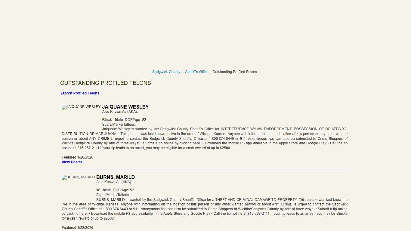 Outstanding Profiled Felons